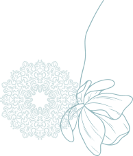 Transcend Medi - Aesthetic