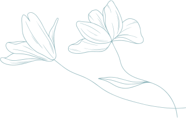 Transcend Medi - Aesthetic