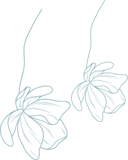 Transcend Medi - Aesthetic