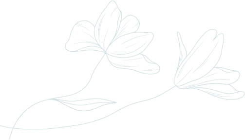 Transcend Medi - Aesthetic